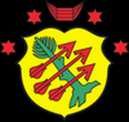 Wróżka tarot Czempiń