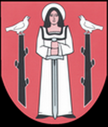 Wróżka tarot Golub-Dobrzyń