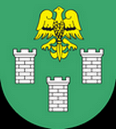 Wróżka tarot Ogrodzieniec