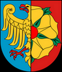 Wróżka tarot Wodzisław Śląski