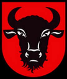 Wróżka tarot Zambrów