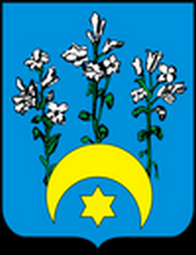 Wróżka tarot Żuromin